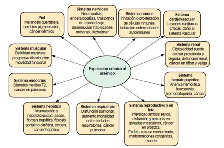 Enfermedades por Arsénico DIMATERIA