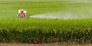 como minimizar la exposición a pesticidas